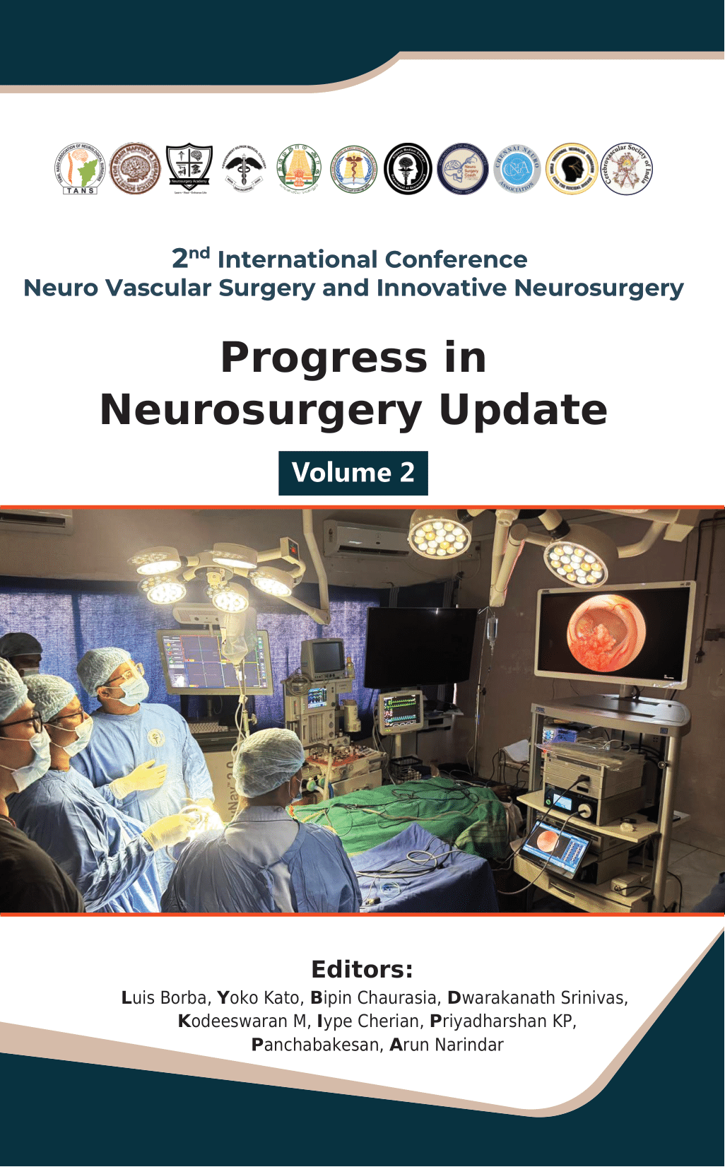 Progress in Neurosurgery Update – Volume 2